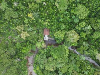 Ilha do Combu Belém Amazônia - Casa Combu Criativo - Belém - 3