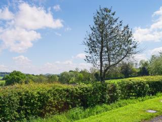 Bryn Cosyn - Shirenewton - 2