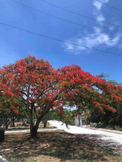 Casa Mundo Buzios - Búzios - 8