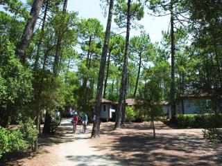 Holiday home in Atlantic Coast - Moliets-et-Maa - 2