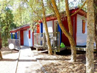 Holiday home in Atlantic Coast - Moliets-et-Maa - 8