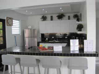 Casa Fortuna Vacation home near Luquillo Beach - Luquillo - 1