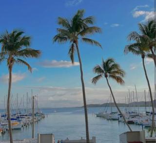 Prívate Island in the Caribbean - Fajardo - 5