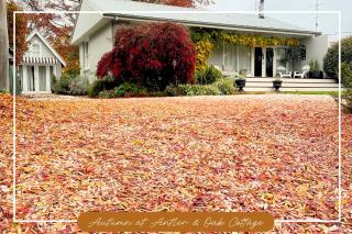 Antler & Oak Cottage: Provincial Luxe In Moss Vale - Moss Vale - 5