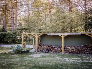 Tranquil pine forest chalet in Antwerp Kempen - - 3