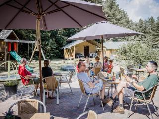 Tranquil pine forest chalet in Antwerp Kempen - - 4