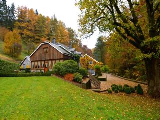 Magnificent Manor in Vresse-Sur-Semois with Sauna - Vresse-sur-Semois - 3