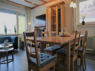 Modern apartment in Winterberg with garden - Winterberg - 1