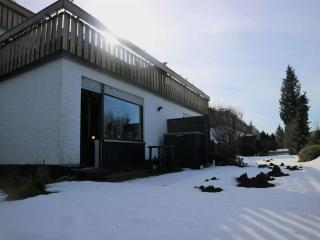 Modern apartment in Winterberg with garden - Winterberg - 8