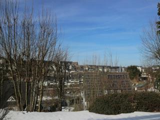 Modern apartment in Winterberg with garden - Winterberg - 4