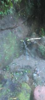 Natty Tropical Valley - Roseau - 9