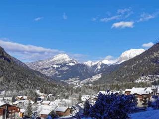 Studio cosy 4 pers à Châtel avec terrasse et parking - FR-1-676-221 - Châtel - 1
