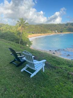 This is it! Dreamy Beach, Stunning Views, Awesome Location - Kilauea - 5