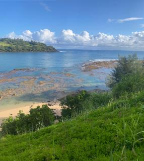 This is it! Dreamy Beach, Stunning Views, Awesome Location - Kilauea - 6