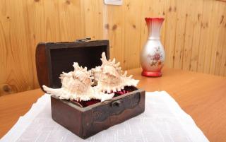 Studio Pupa - Rovinj - 7