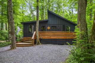 Black Bear Lodge - Fire Pit - Hot Tub - Cosby - 5