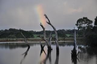 Askara Lake House - Hope Forest - 9