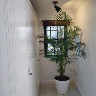 SWEET ISLAND petit dejeuner inclus - 1