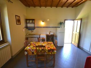 Holiday home in Florence with swimming pool - Poggio Alla Croce - 7