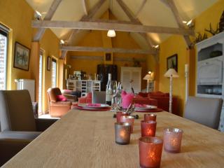 stylish holiday home - Rijsberge - 6
