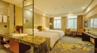 Vienna Classic Hotel Fujian Nanjing - Nanjing - 4