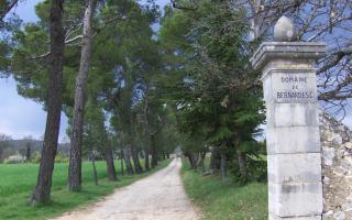 Le bastidon le pavillon - Fox-Amphoux - 9