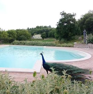 Agriturismo Lochicchiolo - San Venanzo - 2