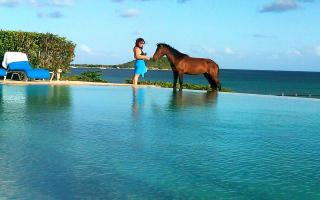 Blue Horizon Boutique Resort - 8