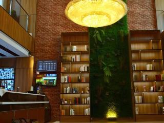 James Joyce Coffetel Lijiang Ancient City Dashuiche - Lijiang - 7