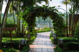 Victoria Can Tho Resort - Cần Thơ - 8
