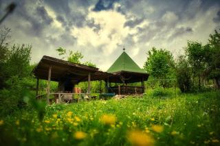 Căsuța Din Pădure Calimanesti - Călimăneşti - 3