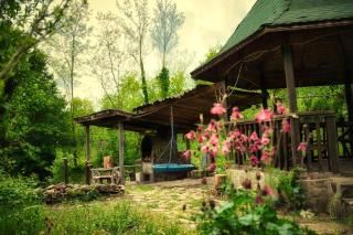 Căsuța Din Pădure Calimanesti - Călimăneşti - 1