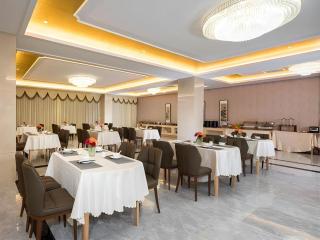 Vienna Hotel Shandong Linyi Mengyin - Mengyin - 9