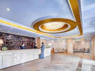 Vienna Hotel Shanghai Hongqiao National Exhibition Cente Sijing Metro Station - Fenghuangshan - 9