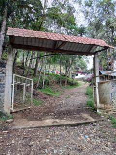 Finca Elvira, cozy cabin - 8