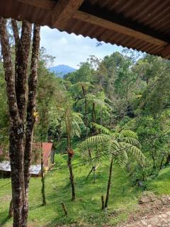 Finca Elvira, cozy cabin - 4