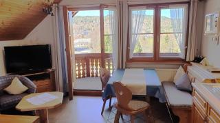 Fewo mit Balkon und herrlicher Fernsicht - Wittenschwand - 8
