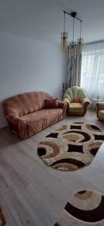 Apartament ALEX-LUXURY - Tîrgu Ocna - 8
