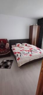 Apartament ALEX-LUXURY - Tîrgu Ocna - 2