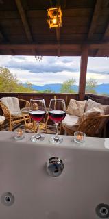 Вили Панорама Лещен - 8