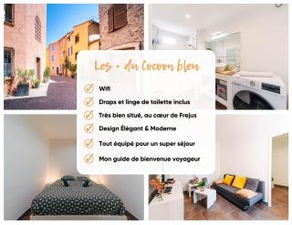 Cocoon Bleu T2 Cosy Gare et Centre à Pied - 9