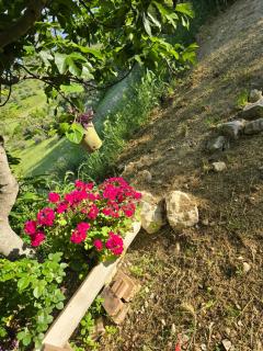 Casa di Giusy - Villa Santa Maria - 7