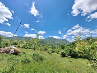 VILA DISHA - Tirana - 5