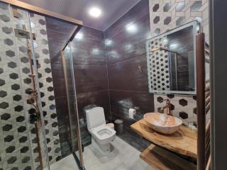 Black Swan guest rooms - - 8