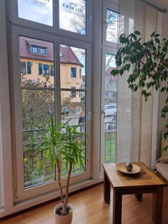 Ferienwohnung am Stadtpark Erfurt - Erfurt - 8