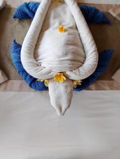 Sunrise Villa Lembongan - - 1