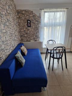 Apartman Sara - Karlovy Vary - 1