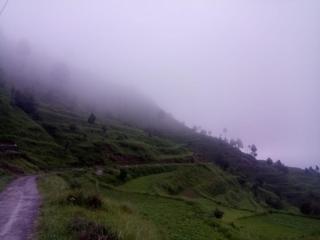The Himalayan meadows - 4