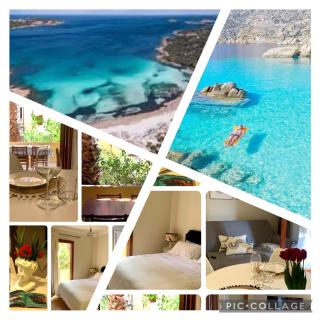 NEST HOUSE - ESCLUSIVO APPARTAMENTO Marina di Olbia- MATER OLBIA - Beaches - close to the Airport - PRIVATE PARKING- Full comforts - - Olbia - 0
