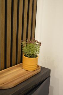 MSF Apartment Green Wolf - Kassel - 5